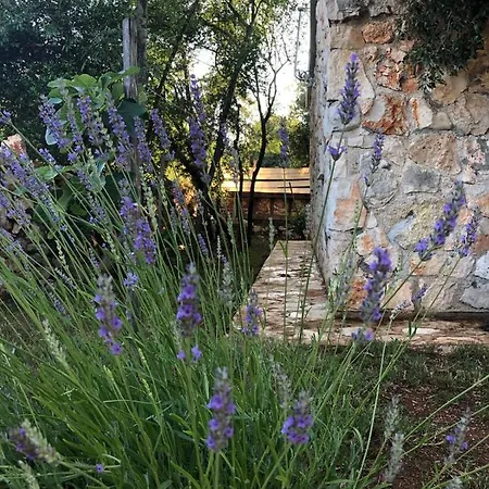 Holiday home Sea La Vie *